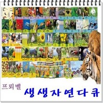 프뢰벨) 생생다큐자연관찰 2016년 50권 DVD8장 CD2장 지침서1권 (새책같은 중고)