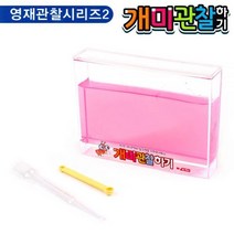 팬시로비 개미 관찰하기 (대) (핑크) 개미키우기 완구