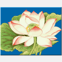 (물감2배) 푸른 연못 연꽃 행운을 가져다 주는 연꽃 수련 그림 50x40cm 따라색칠하기 유화그리기 부자 돈복