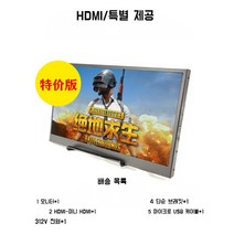 휴대용 보조 포터블 모니터 4K 144HZ IPS 17인치, 14인치 ips, 기본형