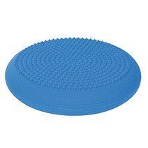 토구 악티산 다이나믹 에어쿠션 XXL 항균 RUTON재질 기능성방석 밸런스운동, 블루-펌프 미포함