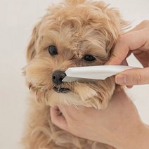 [1+1+1]3개세트애견빗 참빗 눈꼽빗 눈물빗(대) 강아지 고양이 진드기빗, 상세페이지 참조