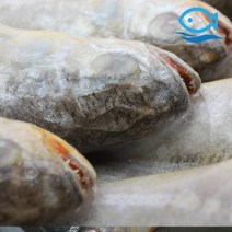 바다해 도매 봉화 냉동조기 52미 3.6kg 1박스 조기 매운탕 구이 찌개 참조기, 조기 50~52미