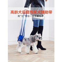 애완용품 슬개골탈구 장애견 다리밴드 휠체어 고령견년 노령개 뒷다리조력병 장애 마비된 강아지 보조대 척추후지, 01 블루 스탠다드, 03 M사이즈측정