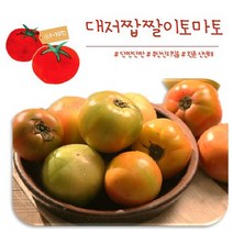 [햇쌀맘] 대저 토마토 짭짤이 고당도 2.5kg 1박스 단짠단짠 짭짜리 부산 산지 직송 타업체 비교불가, 대과(L)