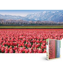 챔버아트 500피스 퍼즐 튤립평원 A5155