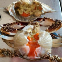 마린씨푸드 서해안봄꽃게(급냉) 서해안가을암꽃게, 1개, 1kg(3미)