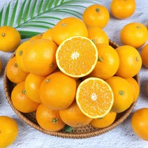 제주직송 제주 청견오렌지 국산 오렌지 2.5kg 4.5kg, 2.5kg 프리미엄과, 1개