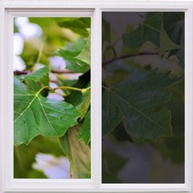 i필름 열차단필름 사생활보호 (30M롤판매) 썬팅필름, 07_CALIFORNIA15