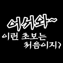 센스만점 자동차스티커 모음 (주유구 스티커 포함), 147_어서와~(화이트), 1개