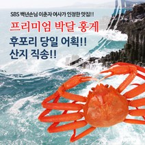 홍게 프리미엄홍게 주문동시배송, 1개, 홍게생물 500g/3kg