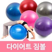 위시 짐볼(보라)65cm + 발펌프, 보라