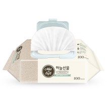 하늘선물 물티슈 100매 리필형 10팩, 캡형 100매X10팩