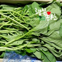 싱싱 당일작업 아욱 2~4kg, 1box, 아욱4kg내외