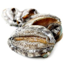 하늘뜰 완도 참전복 1kg 세트, 없음, 완도 참 전복 1kg(7-8마리)