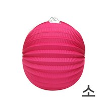 파티앤벌룬코리아 페이퍼벌룬, 소-푸치샤, 1개