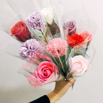 다니엘라 카네이션 장미 비누꽃 한송이, 카네이션-레드