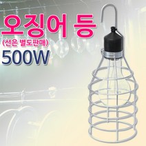 모름 오징어등, 1개