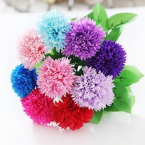 50송이 비누꽃 카네이션, 06_50송이비누꽃카네이션(중보라)