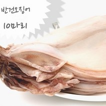 아이스박스 포장 반건오징어, 1개, 10마리, 1.4kg내외