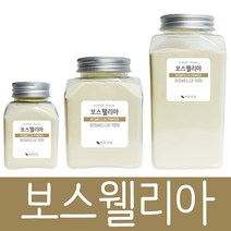 바른건강 TV방송인기제품 보스웨일리아 추출물 분말 파우더 가루 보스웰리아, 100g, 1개