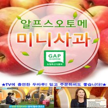 세척 알프스오토메(미니사과) 루비에스 제과점 데코용 2kg, 루비에스 미디엄과(과실수34~38)