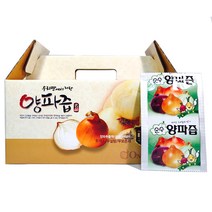 대원건강푸드 저온진공추출공법 100% 양파즙 110ml, 100포