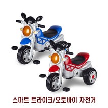 중모토이 스마트 트라이크 (오토바이 자전거), 블루