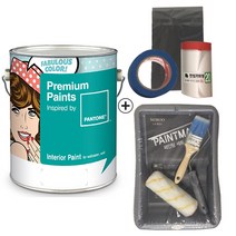 노루페인트 프리미엄 팬톤페인트 인테리어 4L 풀세트, 무광 19-4030 True navy