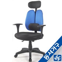 동서가구 BK GD요추매쉬 대 의자 DF902214, 블랙