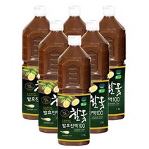 옻가네 천년전통 참옻발효진액 100 (사은품 증정), 1500ml, 1세트