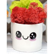 스칸디아모스 천연이끼 공기정화 이모티콘 화분, 이모티콘 모스-레드
