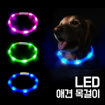 이지 독 LED 플래시 밴드 (USB 충전) 애견 목걸이, 그린 M, 1개