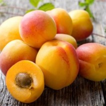 [허니솝] 천연 베이스오일(캐리어오일) 버터 비누만들기재료 화장품만들기재료, C20. 살구씨오일 500ml