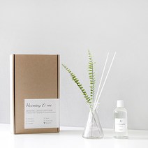 블루밍앤미 숲속의 향기 디퓨저 6종, 유칼립투스:4-2그린leaf(dried유칼립투스)-그린