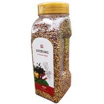 솔표 코리엔더씨드(홀), 250g, 1개