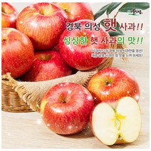 경북의성 햇 사과 3kg(꼬꼬마), 3kg, 1박스