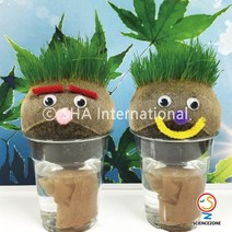 사이언스존 [잔디인형 만들기(반려식물) 5인용] 과학실험 과학교구 과학실험키트 창의력 학습교구