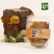 송일품 상황버섯(목질진흙버섯) 50g, 3개, 3개