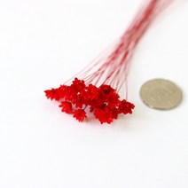 로맨틱노벰버 드라이플라워 프리저브드플라워, 스타플라워 레드(15송이)