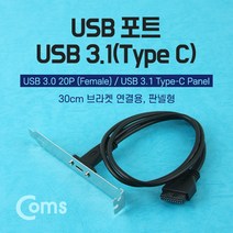 Coms USB 포트/USB 3.1(Type C) 30cm 브라켓 연결용 판넬형