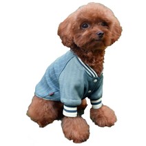 미니피니 강아지 야구 점퍼, 스틸블루