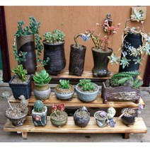 [헤윰]자연의초대 원목3다육받침대소폭 화분진열대 화분받침대