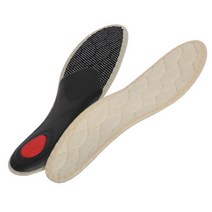 페닥 비바 윈터(Viva Winter)