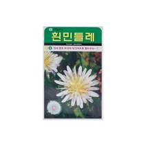 흰민들레씨앗 100립