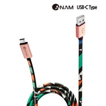 아남전자 ANAM 패셔니스타 Type C 고속 충전케이블 1.2M, 1개, ACF-UC1M
