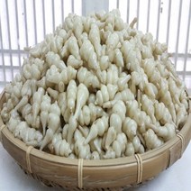 씨앗한알 생초석잠(골뱅이형 국내산), 1box, 5kg