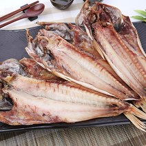 (할인이벤트중) 파란별건어물 [속초직송] 담백한 맛이 일품 반건조 볼락(장문볼락) 37cm 뽈락, 3마리