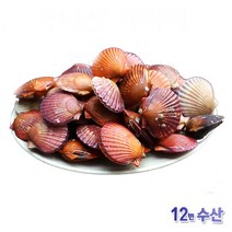 통영12번수산 통영 가리비, 0개, 2kg