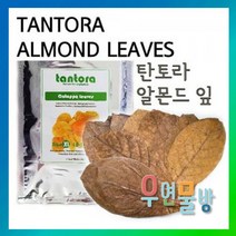 탄토라 알몬드잎 NANO (15장) / 수족관용품 어항 수질개선 스트레스 감소 면역력 강화, 1개